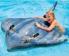 cumpără Accesoriu pentru piscină Intex 57550 Pluta gonflabila STINGRAY 188x145cm, 3+ în Chișinău 