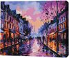 cumpără Tablou pe numere BrushMe MG0002FC 40х50cm (fără cutie) Luminile Parisului de seară în Chișinău 