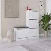 cumpără Raft pentru încălțăminte Hanah Home Dude White în Chișinău 