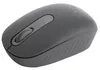 cumpără Mouse Logitech M196 Graphite în Chișinău 