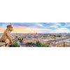 купить Головоломка Trefl 29029T Puzzle 1000 Panorama - View from the Cathedral of Notre-Dame de Paris в Кишинёве 
