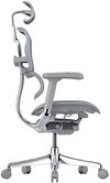 купить Офисное кресло ART Ergohuman Elite 2 Cobalt T-168-B4 EHE2-AG-HAM-5D-L в Кишинёве 