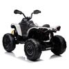 купить Электромобиль Golden Baby DK-CA002 ATV Can Am Marverick,alb, GB2283 в Кишинёве 