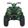 купить Электромобиль Golden Baby CH9955A ATV verde, GB2403 в Кишинёве 