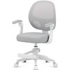 cumpără Fotoliu de birou Mark Adler Junior 3.1 Grey în Chișinău 