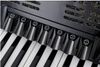 купить Цифровое пианино Startone Piano Accordion 96 Black MKII в Кишинёве 