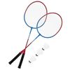 купить Спортивное оборудование Enero Badminton Set (337835) 102 Case в Кишинёве 