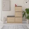 cumpără Raft pentru încălțăminte Hanah Home Dude Oak în Chișinău 