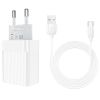 Borofone BA47A Mighty Speed + Кабель Type-C (QC3.0) [White] Зарядное устройство Borofone