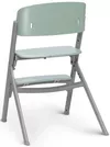купить Стульчик для кормления KinderKraft LIVY KHLIVY00GRE0000 olive green в Кишинёве 