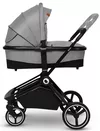 купить Детская коляска Lionelo Mika 2in1 Grey Stone в Кишинёве 