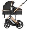 купить Детская коляска Kikka Boo Darling Black 2024, transformabil 3in1 (3800171209694) в Кишинёве 