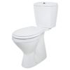 купить Унитаз Uniplast 68100 compact cu capac și mecanism, pentru persoane cu dizabilitati 60cm EGE VITRIFIYE в Кишинёве 