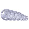 Disc din metal 20 kg, d=30 mm inSPORTline Hamerton 12713 (703) 