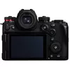 купить Фотоаппарат беззеркальный Panasonic Lumix DC-S1RM2E в Кишинёве 