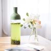 купить Бутылочка для воды Hario FIB-75-OG Filter in Bottle Olive green Cold Brew 750ml в Кишинёве 
