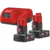 купить Зарядные устройства и аккумуляторы Milwaukee 4933459211 M12NRG-402 Set de acumulator 2x4.0A si incarcator в Кишинёве 