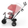 cumpără Bicicletă-cărucior KinderKraft Aston 2 Plus Pink (KRASTO02PNKPL00) în Chișinău 
