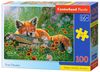cumpără Puzzle Castorland Puzzle B-111244 Puzzle 100 elemente în Chișinău 