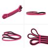 cumpără Expander HMS GU06 Abisal Exercise Band (pink/black) în Chișinău 