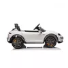 cumpără Mașină electrică pentru copii Golden Baby BDM0988 Porsche Taycan Turbo S (2 locuri), alb, 1582D în Chișinău 