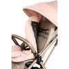 купить Детская коляска Peg Perego IP22000000RO53 Selfie Mon Amour в Кишинёве 
