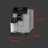 купить Кофемашина Gaggia EG6603/40 Magenta Prestige Over Ice EU в Кишинёве 