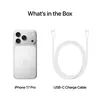 cumpără Smartphone Apple iPhone 17 Pro 256GB Silver MG8G4 în Chișinău 