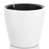 купить Цветочный горшок Lechuza Classico Color 50, White в Кишинёве 