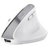 купить Мышь Trust TR25399 Bayo+, White в Кишинёве 