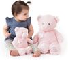 cumpără Jucărie de pluș Baby Gund 6055513 My 1st Teddy Pink 38cm în Chișinău 