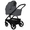 купить Детская коляска Lionelo Carucior 2in1 Carmine Grey Stone в Кишинёве 