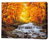cumpără Tablou pe numere BrushMe BS34060 40x50сm (în cutie) Cascadă în aurirea de toamnă în Chișinău 