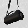купить Колонка портативная Bluetooth Hama 188217 SoundBarrel Waterproof 60 W в Кишинёве 