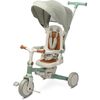 купить Велосипед-коляска Toyz 0360 Faro Green в Кишинёве 
