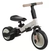 cumpără Bicicletă-cărucior Kikka Boo 31006020152 5in1 Flip Beige în Chișinău 