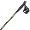 cumpără Bețe pentru trekking Masters NW PHYSIQUE 0.1 Carbon 125 cm 01N0319 125 în Chișinău 