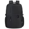 купить Сумка дорожная Samsonite Biz2Go (142145/1041) в Кишинёве 