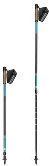 купить Треккинговые палки Spokey Peak (944815) в Кишинёве 