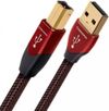 cumpără Cablu pentru AV Audioquest Cinnamon 0.75m în Chișinău 