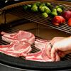 купить Мангал Kamado Joe KJ23RH Classic I (pe carbuni) в Кишинёве 