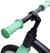 cumpără Bicicletă Hape E1208 Bicicletă de echilibru Learner Balance Bike, verde în Chișinău 