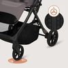 купить Детская коляска Lionelo Tansi Beige Taupe в Кишинёве 