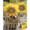 купить Картина по номерам Strateg R 9 /20 (GS1632)(74063) Buchet de floarea soarelui, 40x50 cm в Кишинёве 
