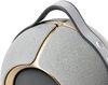 купить Колонка портативная Bluetooth Devialet Mania Opera de Paris в Кишинёве 