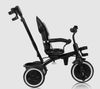 cumpără Bicicletă-cărucior Lionelo Berry Grey Stone în Chișinău 