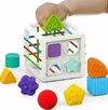 cumpără Sortator Huanger HE0211 Sorter "Cub alb", 592023 în Chișinău 