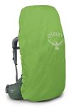 cumpără Rucsac turistic Osprey Ariel 65 Koseret Green Wm/Wl (843820199529) în Chișinău 