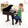 купить Музыкальная игрушка Hape E0320 Instrument muzical Pian negru cu scaun в Кишинёве 
