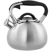 купить Чайник wiSmark S-016 2,7l в Кишинёве 